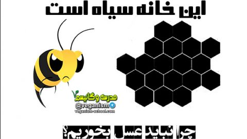 مضرات عسل
