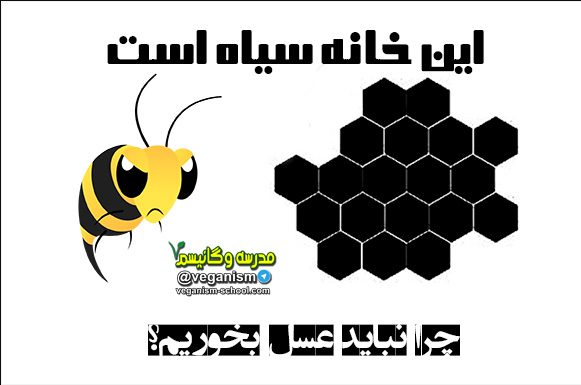 مضرات عسل