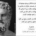 گیاهخواران مشهور