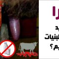 چرا نباید شیر و لبنیات بخوریم