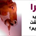 چرا نباید گوشت بخوریم