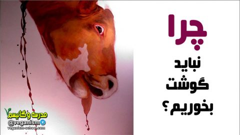 چرا نباید گوشت بخوریم