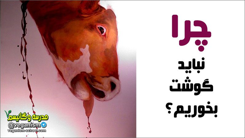 چرا نباید گوشت بخوریم