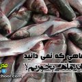 مضرات ماهی