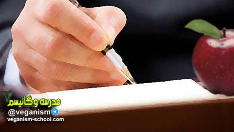 برنامه غذایی گیاهخواری