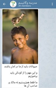 حمایت از حیوانات