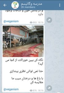 مضرات گوشت