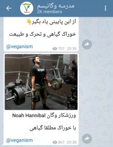 ورزش و گیاهخواری