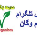 کانال خام گیاهخواری