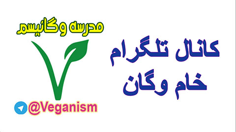 کانال خام گیاهخواری