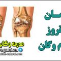 درمان آرتروز با گیاهخواری