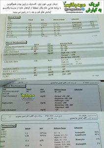 درمان چربی خون با خام گیاهخواری