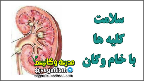 سلامت و درمان کلیه با گیاهخواری