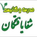 شفایافتگان با خام گیاهخواری