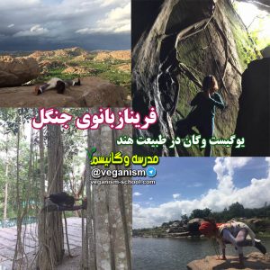 ورزشکاران گیاهخوار وگان یوگیست