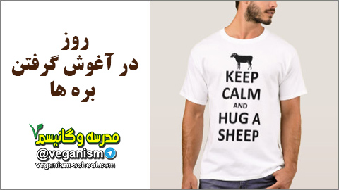 Hug sheeps day