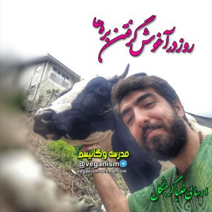 روز در آغوش گرفتن بره ها