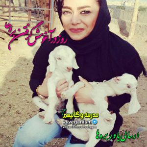 روز در آغوش گرفتن بره ها
