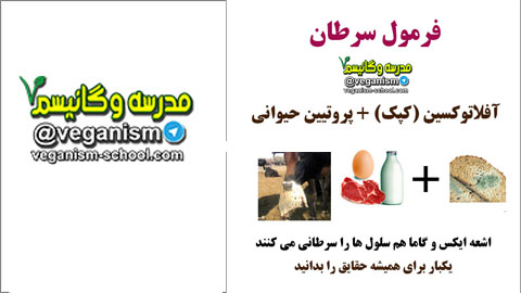 دلایل سرطان