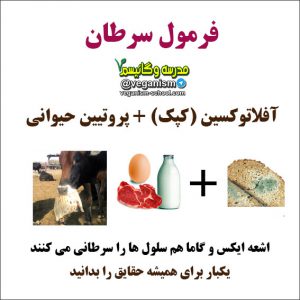 سرطان