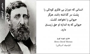 دیوید تورو