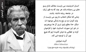 آلبرت شوایزر