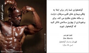 جیم موریس